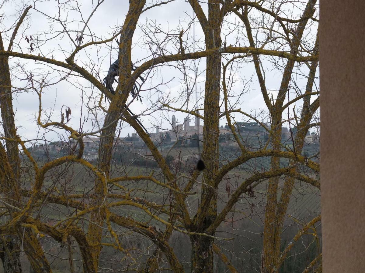 Appartement Uliveta à San Gimignano Extérieur photo